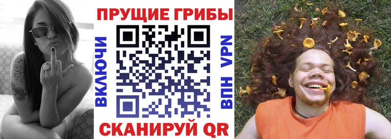 Псилоцибиновые грибы MAGIC MUSHROOMS  купить наркоту  Обь 